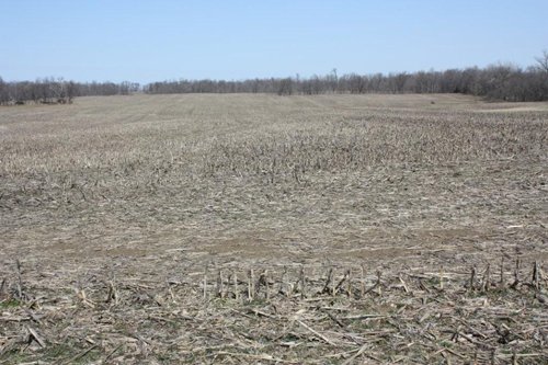 Property photo 3 - 200+/- Acre Land Auction in Gibson County, Indiana